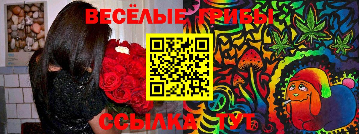 Псилоцибиновые грибы мицелий  как найти закладки  Выкса  Вход с VPN 