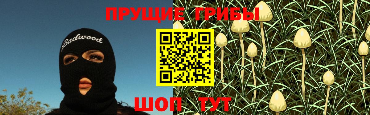 Псилоцибиновые грибы GOLDEN TEACHER Выкса